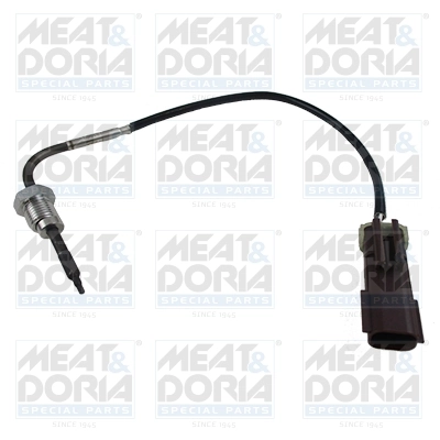 Sensor, exhaust gas temperature
